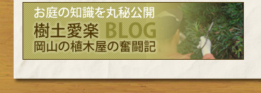 お庭の知識を丸秘公開「樹土愛楽BLOG」岡山の植木屋の奮闘記