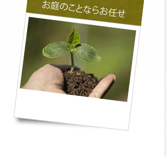 お庭のことならお任せ