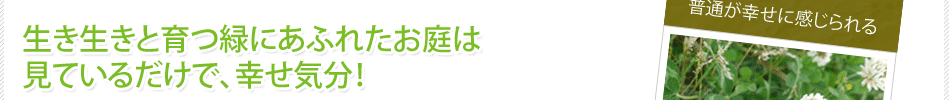 生き生きと育つ緑にあふれたお庭は見ているだけで、幸せ気分！